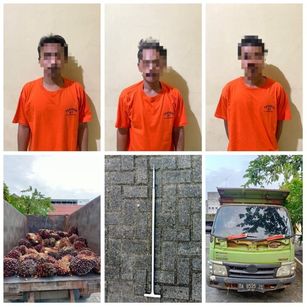 Pencurian Buah Kelapa