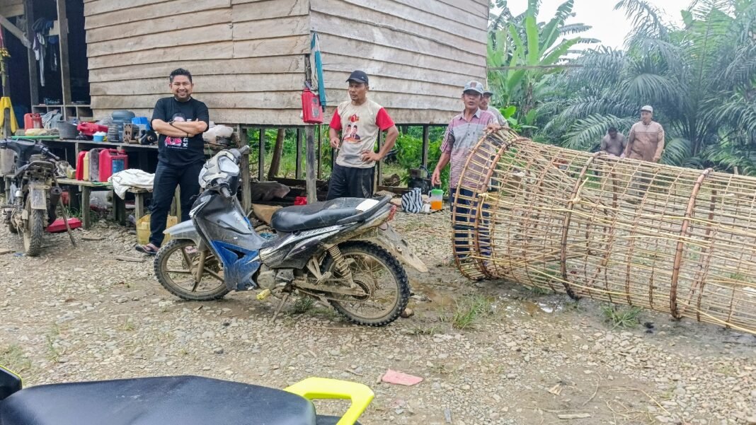 Bang Dhin