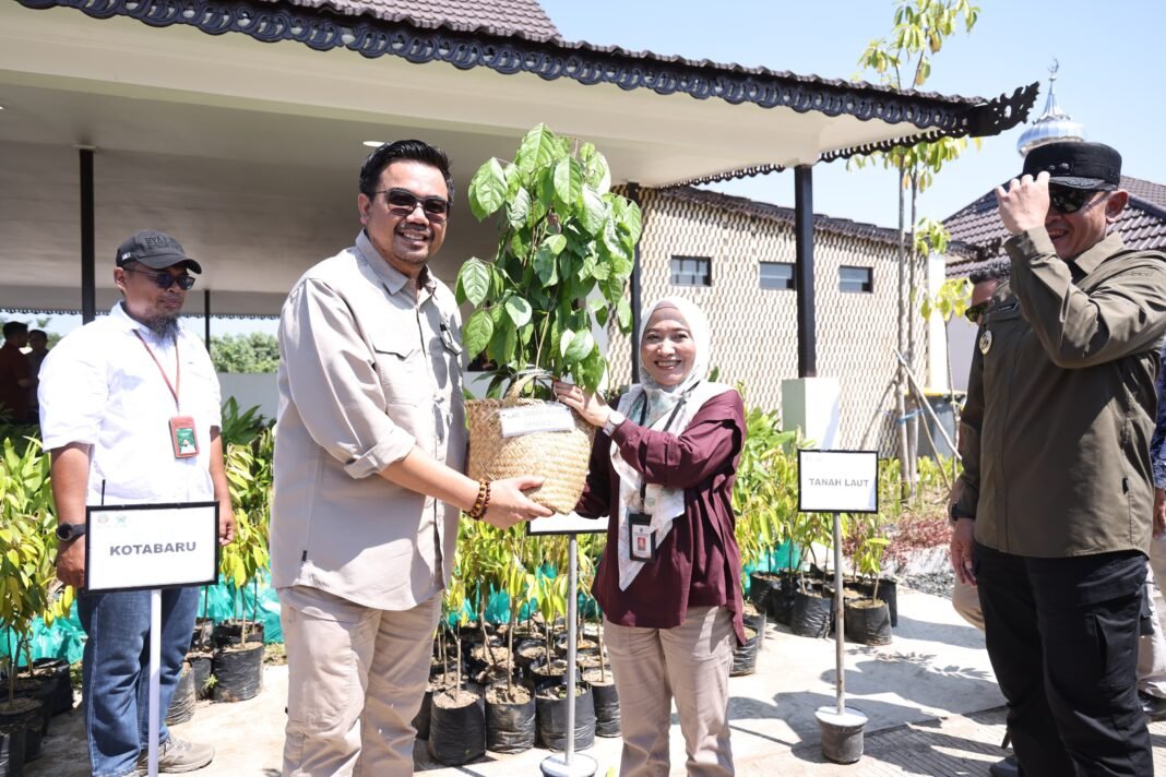 Rehabilitasi Hutan
