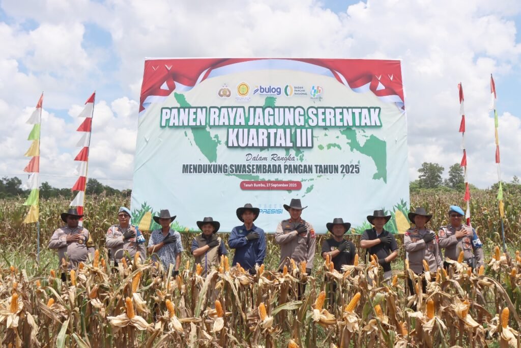 Panen Raya Jagung