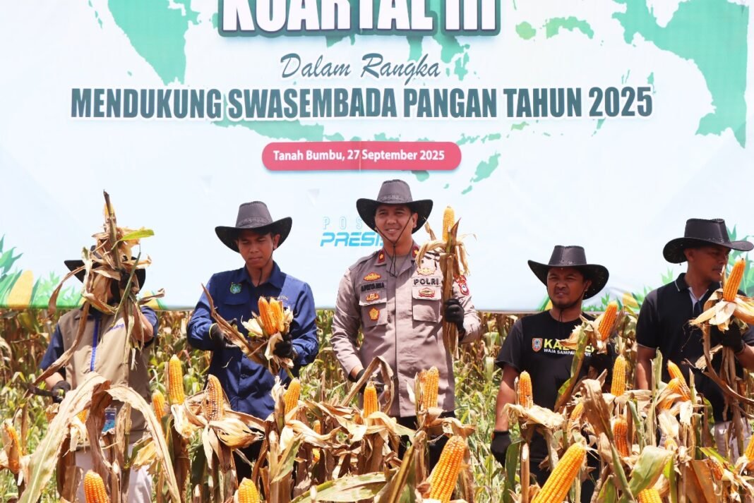 Panen Raya Jagung