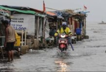 Waspada Rob di Pesisir Tanah Bumbu dan Kotabaru