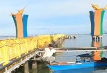 Atraksi Titi Tali Jadi Tontonan Pengunjung Wisata Siring Laut Kotabaru Atraksi Titi Tali