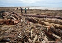 Dugaan Penyebab Bencana Sumatra, Tiga PHAT di Tapanuli Selatan Resmi Disegel Bencana Sumatra