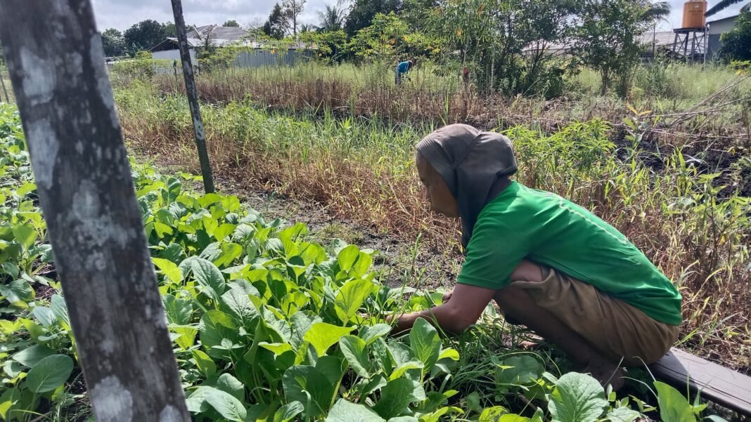 0bfa003d-7fda-44d9-b13b-542ef46ee384