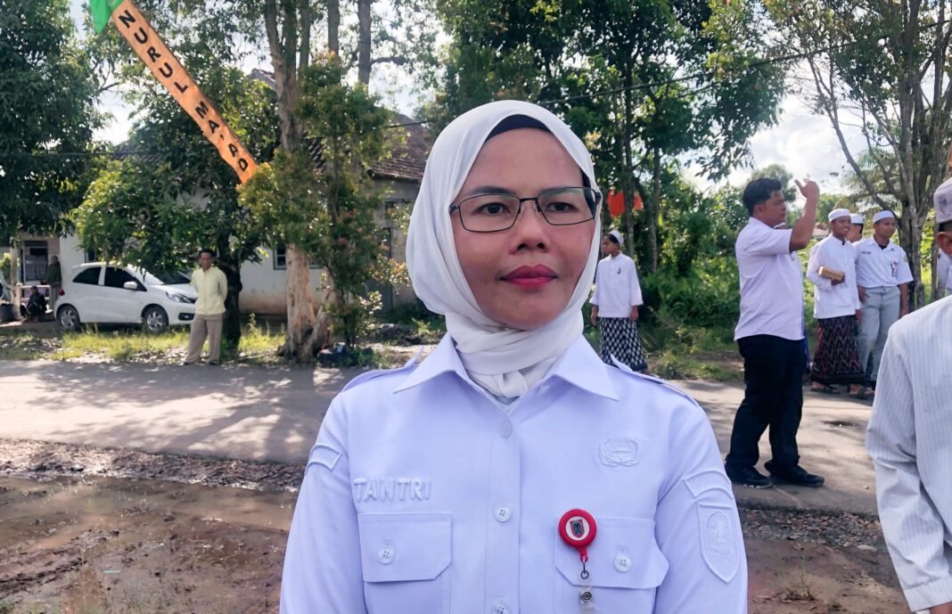 Program Revitalisasi