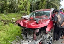 Kronologi Adu Banteng di Mentewe Tanah Bumbu, Bayi Dalam Kandungan Meninggal Dunia