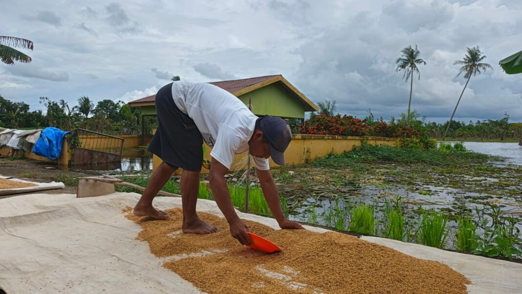 Harga Beras di Banjarmasin