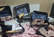 KPK Dukung RUU Perampasan Aset: Langkah Strategis Pulihkan Uang Negara RUU Perampasan Aset