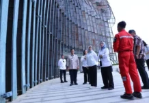 Menteri PANRB Pastikan Hunian dan Kantor ASN di IKN Siap Digunakan Kantor ASN IKN