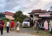 Bikin Geger, Warga Simpang Empat Temukan Jasad Bayi Lengkap dengan Ari-ari Jasad Bayi
