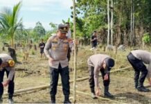 Polisi Turun ke Sawah, Polsek Sungai Durian Tanam Jagung untuk Dukung Swasembada Pangan 2026 Swasembada Pangan 2026