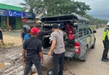 Pengendara Motor Adu Banteng di Angsana, Warga Tanah Laut Meninggal Dunia