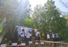 Bang Arul Pimpin Penanaman Ribuan Mangrove, Komitmen Hijaukan Pesisir Tanah Bumbu