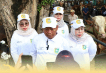 Komisi II DPRD Tala Tinjau Kesiapan Rumah Potong Hewan Jelang Iduladha 2026 Komisi II DPRD Tala