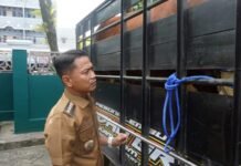 Wali Kota Banjarmasin Salurkan Sapi Kurban dari Presiden Prabowo