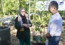 Kartini Hebat Banjarbaru Gaungkan Kepedulian Lingkungan Lewat Penanaman Pohon Gaharu Penanaman Pohon Gaharu