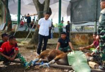 Kodim 1022/Tanah Bumbu Bagikan Daging Kurban untuk Warga pada Idul Adha 1447 H Kodim 1022/Tanah Bumbu