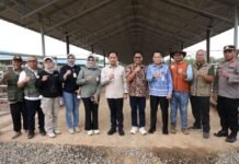 Wamenko Pangan RI Tinjau KSPEAN di Tanah Bumbu, Pemkab Dukung Integrasi Sapi-Sawit Wamenko Pangan RI