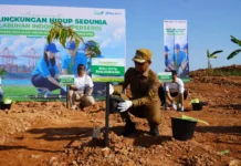 Pemkot Banjarmasin Tanam 2.500 Pohon di TPA Basirih Pohon TPA Basirih