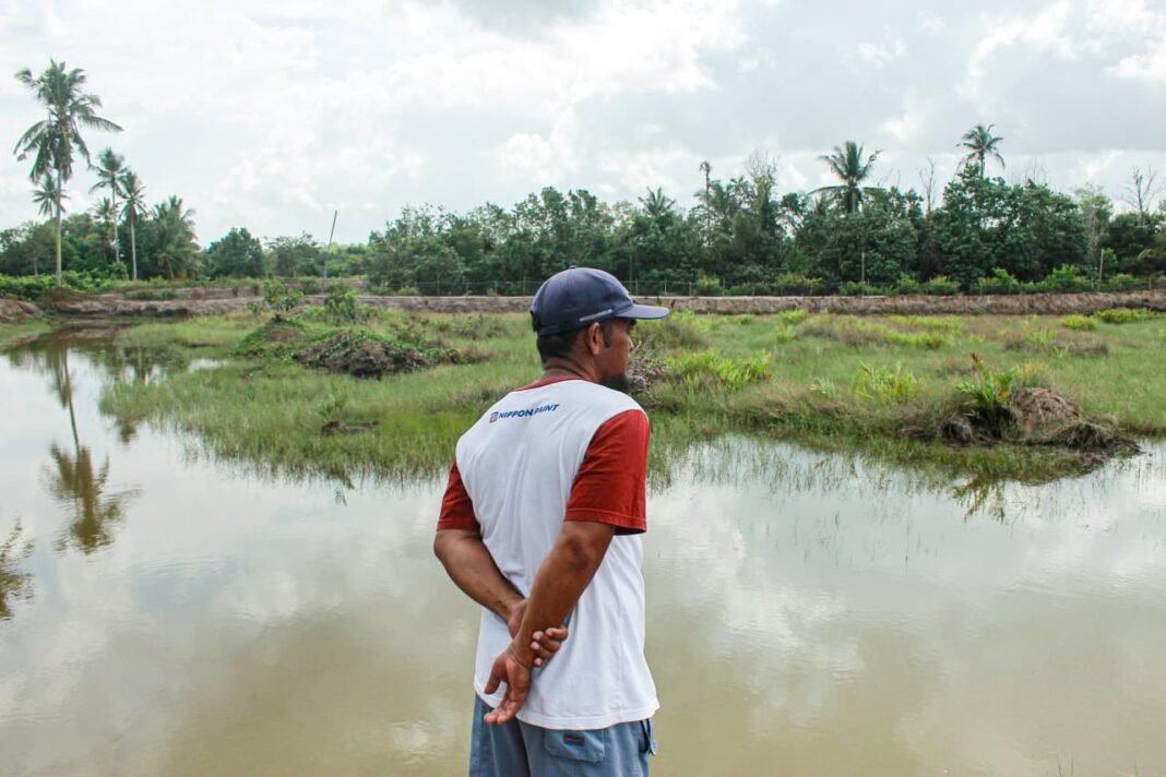 Petambak Kepiting Muara Pagatan