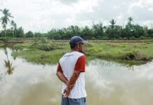 Tanggul Pemkab Tanah Bumbu Ubah Cerita Petambak Kepiting Muara Pagatan Petambak Kepiting Muara Pagatan