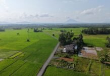 Bang Arul Dorong Produktivitas Petani dan Petambak Lewat Pengaspalan Jalan Perdesaan petani dan petambak