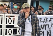 Listrik Padam, Peternak Ayam Kalteng Ancam Buang Ratusan Bangkai Ayam ke Kantor PLN Peternak Ayam Kalteng