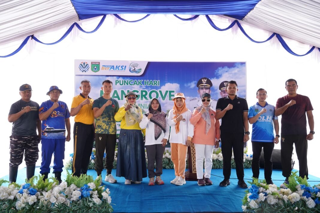 tanah bumbu mangrove