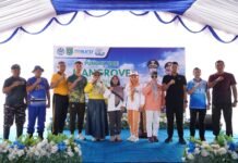 Menjaga Ekosistem: Tanah Bumbu Tanam Mangrove untuk Generasi Mendatang tanah bumbu mangrove