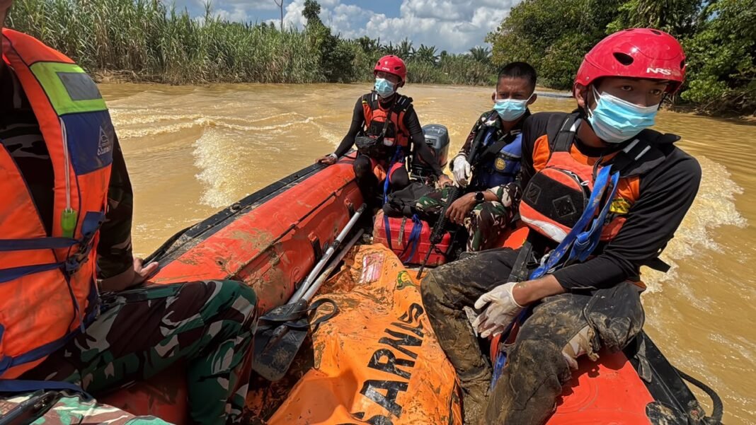 buaya tanah bumbu buaya tanah bumbu