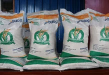 Bantuan Pangan Beras 30 Kg Mulai Disalurkan Agustus 2026, Sasar 33,24 Juta KPM Jelang HUT ke-81 RI Bantuan Pangan Beras