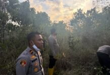 Karhutla 10 Hektare di Cempaka Banjarbaru Diselidiki, Polisi Dalami Unsur Kesengajaan karhutla cempaka banjarbaru