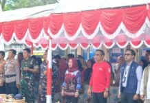 Aplikasi KEPO Diluncurkan, Warga Kotabaru Kini Bisa Cek Harga Sembako Sebelum ke Pasar Aplikasi KEPO