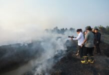 Gubernur Kalsel Turun Langsung Padamkan Karhutla di Pengayuan Banjarbaru Karhutla Banjarbaru