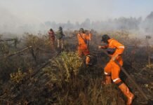 Karhutla Kalsel Capai 1.903 Kejadian, Lebih dari 9 Ribu Hektare Lahan Terdampak Karhutla Kalsel