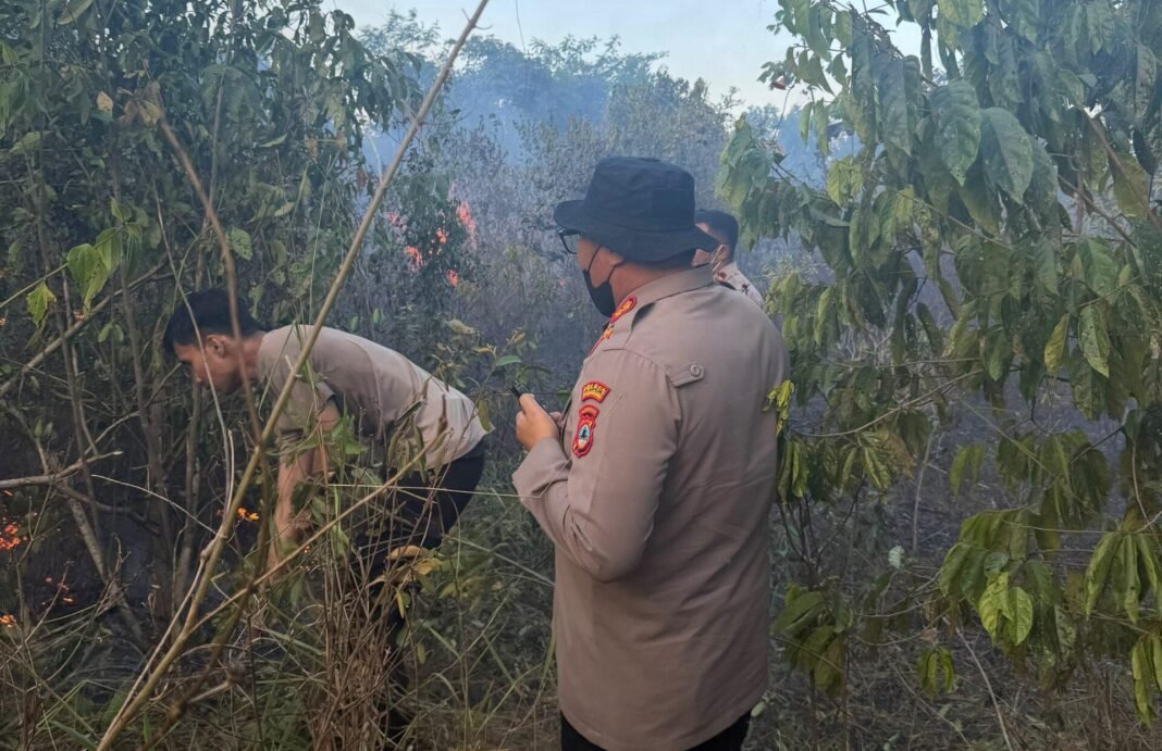 karhutla cempaka banjarbaru karhutla cempaka banjarbaru