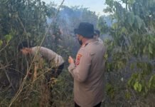 Polisi Periksa Pemilik Lahan hingga Saksi, Karhutla 10 Hektare di Cempaka Banjarbaru Diusut karhutla cempaka banjarbaru