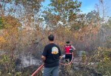 24 Kasus Karhutla Landa Tanah Bumbu, Hanguskan 74,8 Hektare Lahan Kasus Karhutla Tanah Bumbu