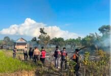 Dipicu Pembakaran Sampah, Pamapta Polres Tanah Bumbu Padamkan Karhutla di Simpang Empat Pamapta Polres Tanah Bumbu