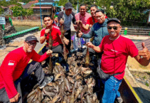 2,4 Ton Ikan Invasif Diangkut dari Sungai Kemuning Banjarbaru dalam Festival Tangkap Ikan Sapu-Sapu Sungai Kemuning Banjarbaru
