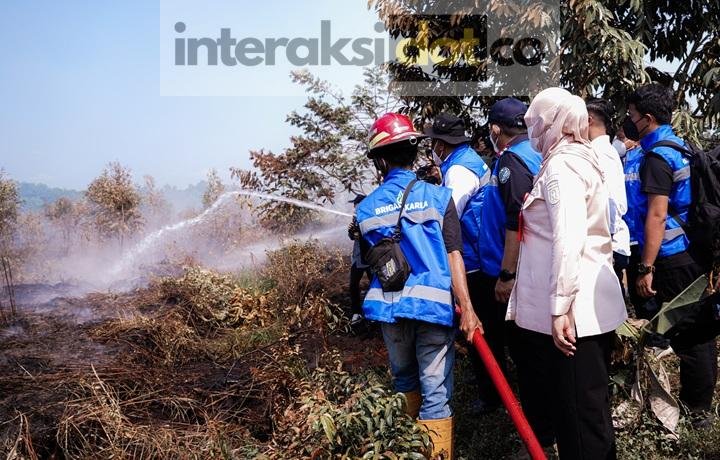 Karhutla Banjarbaru Karhutla Banjarbaru