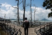 Bupati Andi Rudi Latif Dorong Wisata Mangrove Kersik Putih Jadi Ikon Wisata Tanah Bumbu Wisata Mangrove Kersik Putih