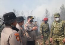 Diatensi Pemerintah Pusat, Astamaops Polri – KSAL Tinjau Penanganan Karhutla di Kalsel Astamaops Polri - KSAL