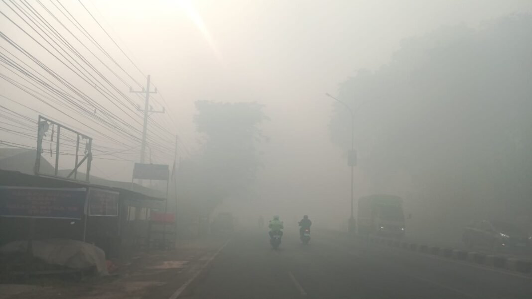 Karhutla Banjarbaru Karhutla Banjarbaru