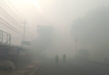 Kabut Asap Karhutla Selimuti Banjarbaru, Jam Belajar Sekolah Diundur Karhutla Banjarbaru