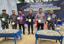 Bea Cukai Kotabaru Musnahkan Rokok Ilegal dan MMEA Bea Cukai Kotabaru