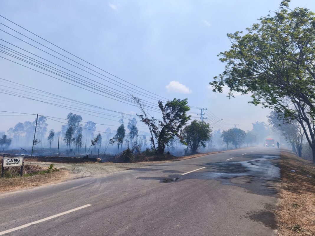 Kersik Putih Kersik Putih