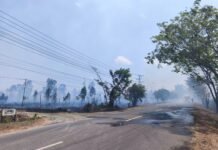 BREAKING NEWS! Lahan Kering Terbakar di Kersik Putih, Api Merembet ke Permukiman dan Peternakan Kersik Putih