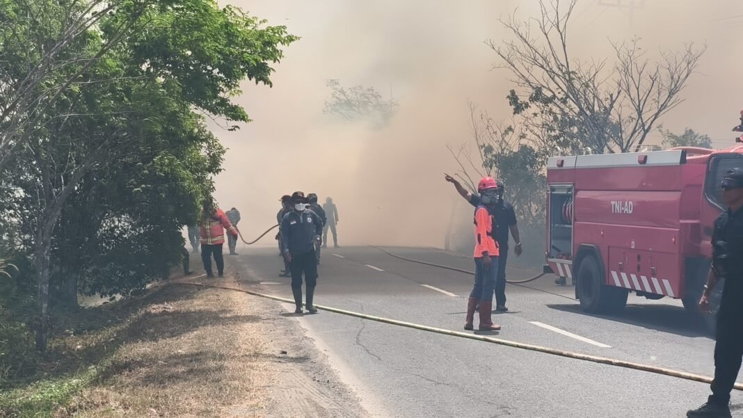 Kersik Putih Hangus Terbakar Kersik Putih Hangus Terbakar